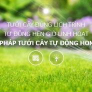 Giải pháp tưới cây tự động